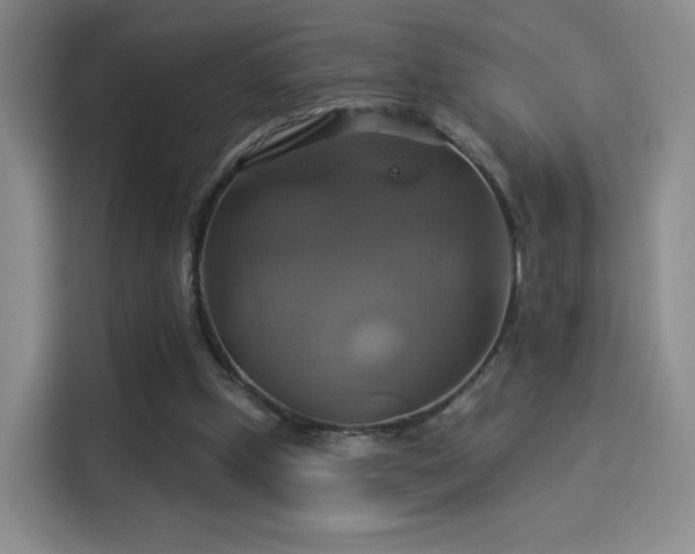 X0000114100249200910131328