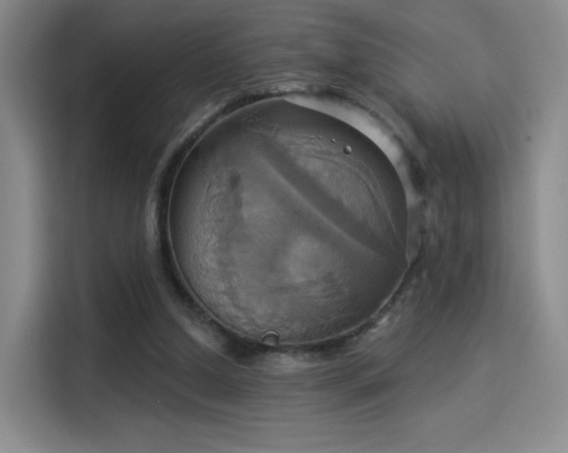 X0000114100250200910131328