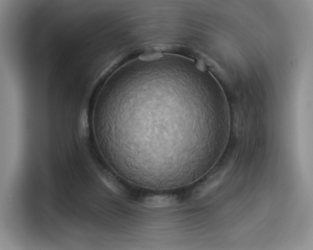 X0000114100251200910131328