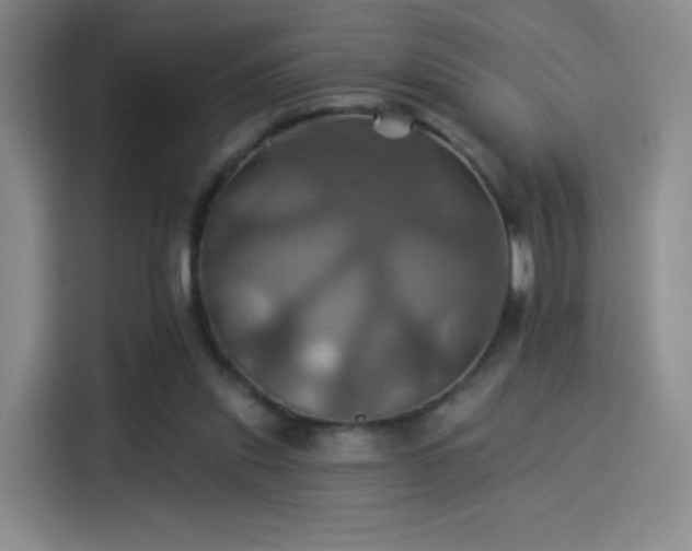 X0000114100253200910131328