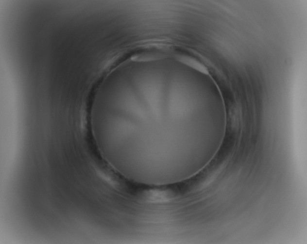 X0000114100255200910131328