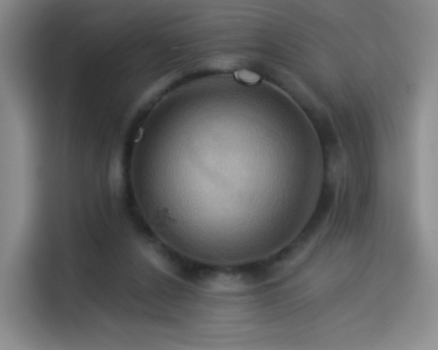 X0000114100256200910131328