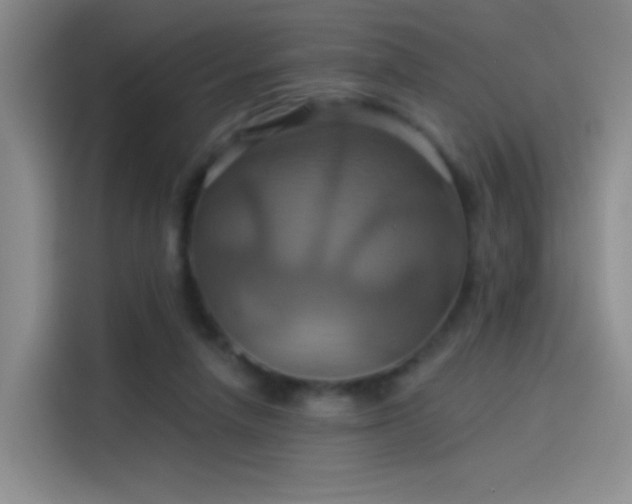 X0000114100258200910131328