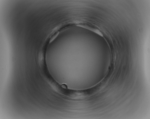 X0000114100260200910131328