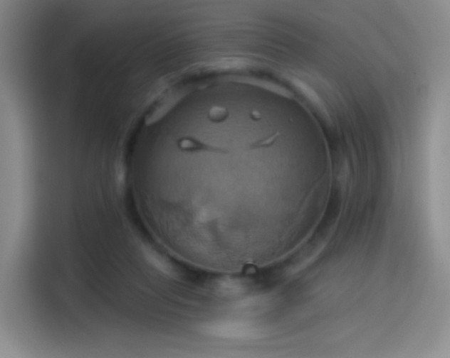 X0000114100261200910131328