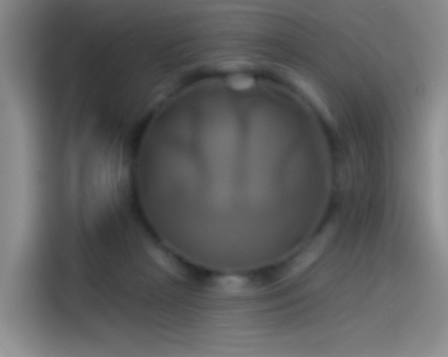 X0000114100265200910131328