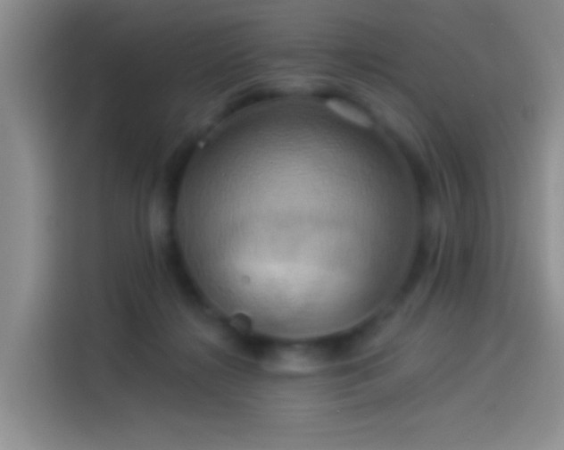 X0000114100268200910131328