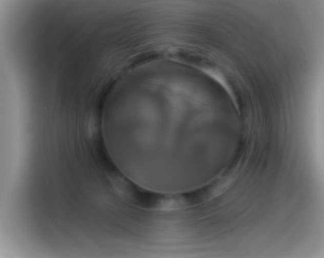 X0000114100274200910131328