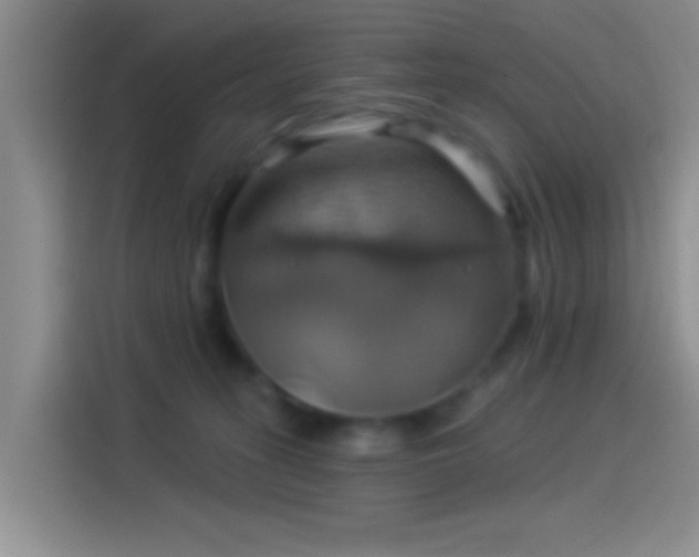 X0000114100275200910131328