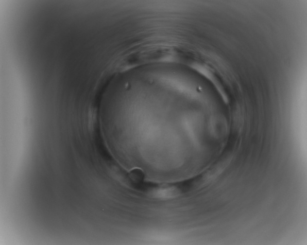 X0000114100278200910131328