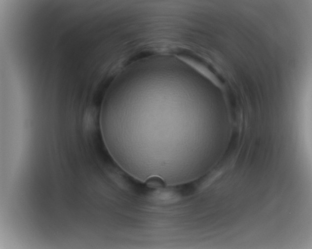 X0000114100280200910131328