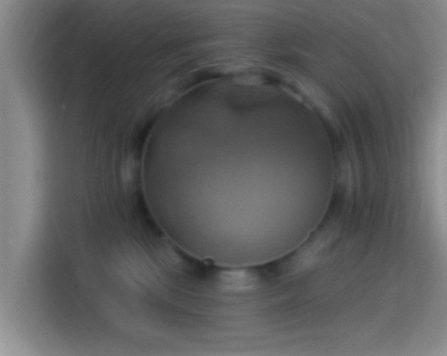 X0000114100281200910131328