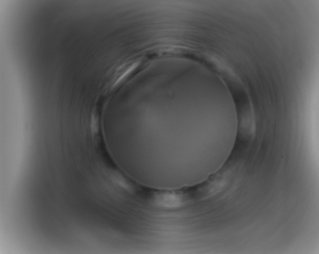 X0000114100282200910131328