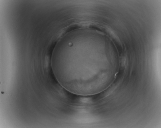 X0000114100283200910131328