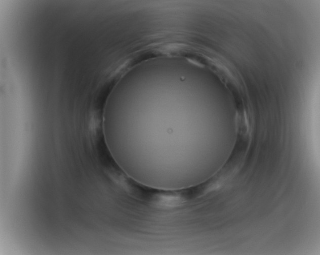 X0000114100284200910131328