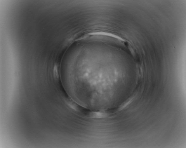 X0000114100286200910131328