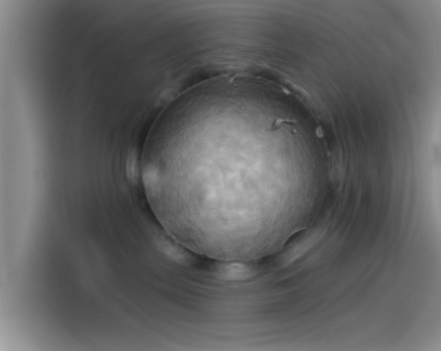 X0000114100287200910131328