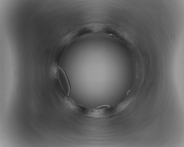 X0000114100288200910131328