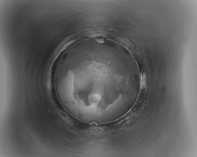 X0000114100291200910131328