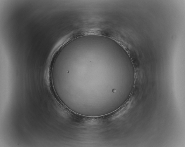 X0000114100293200910131328