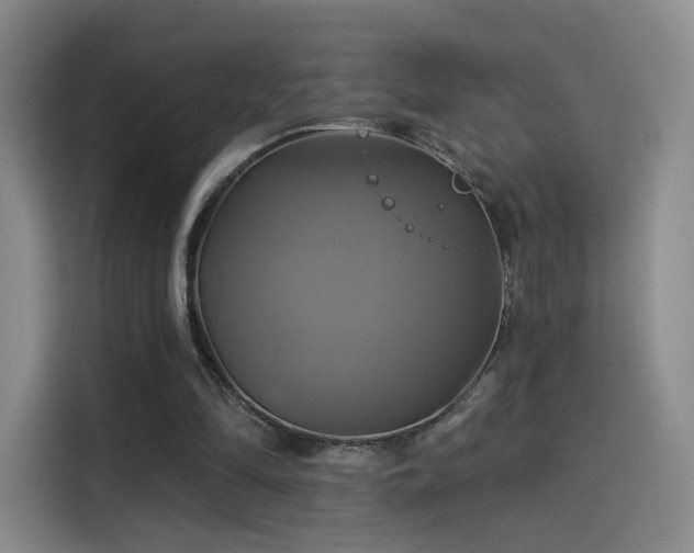 X0000114100294200910131328