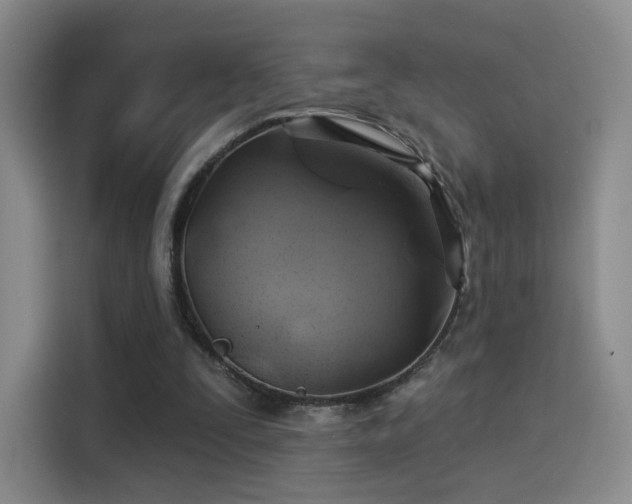 X0000114100295200910131328