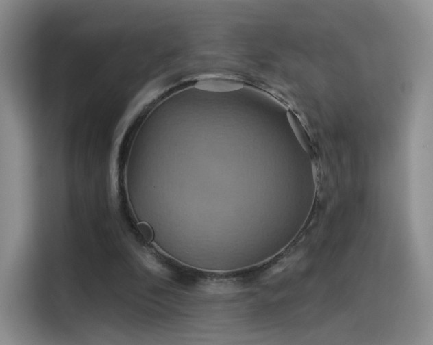 X0000114100296200910131328