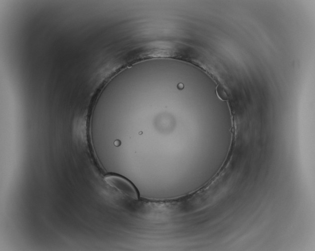 X0000114100297200910131328