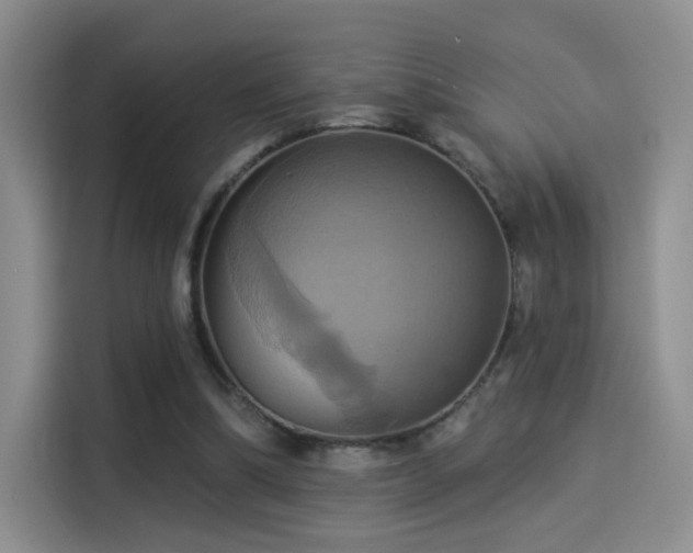 X0000114100298200910131328