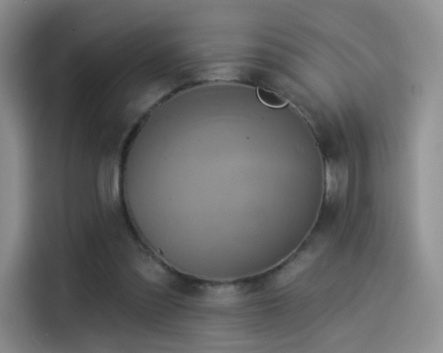 X0000114100301200910131328