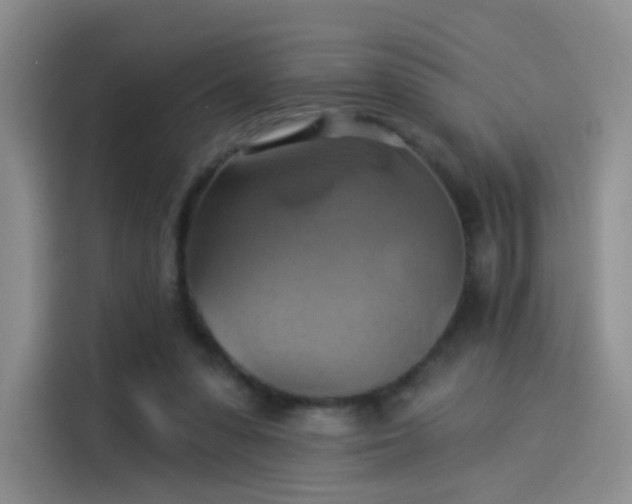 X0000114100303200910131328