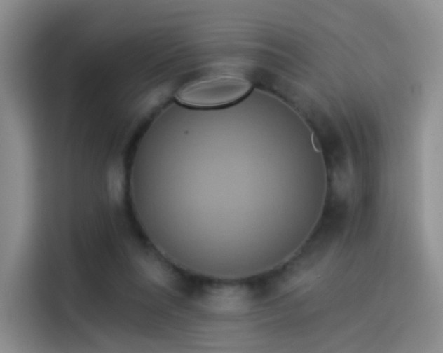 X0000114100304200910131328