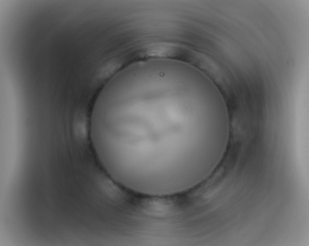 X0000114100305200910131328