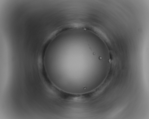 X0000114100306200910131328