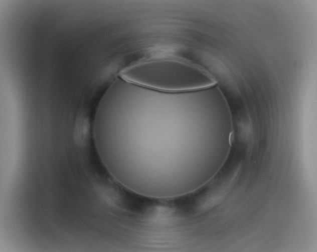 X0000114100308200910131328