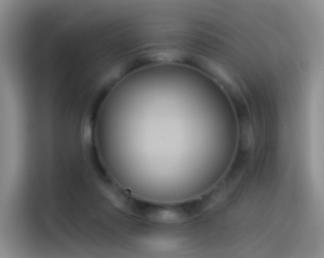 X0000114100310200910131328