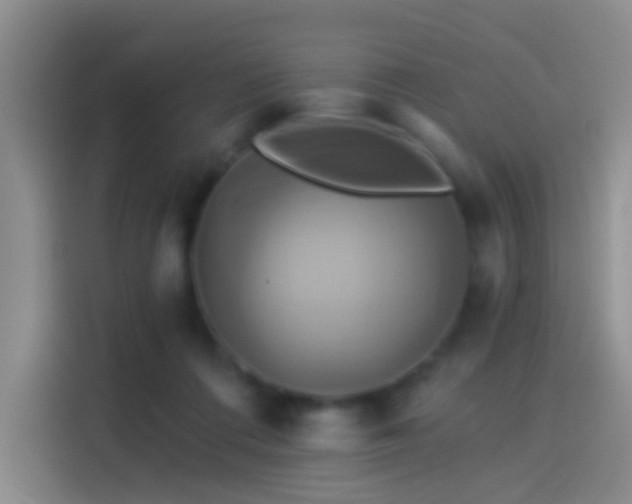 X0000114100312200910131327