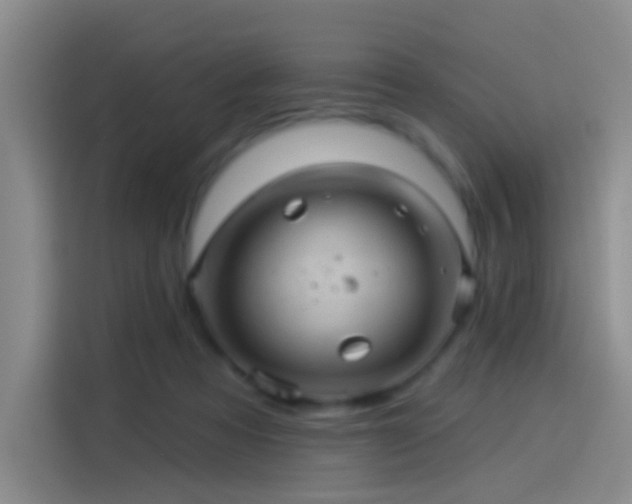 X0000114100313200910131327