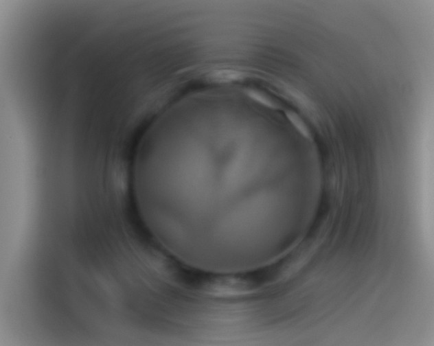 X0000114100315200910131327