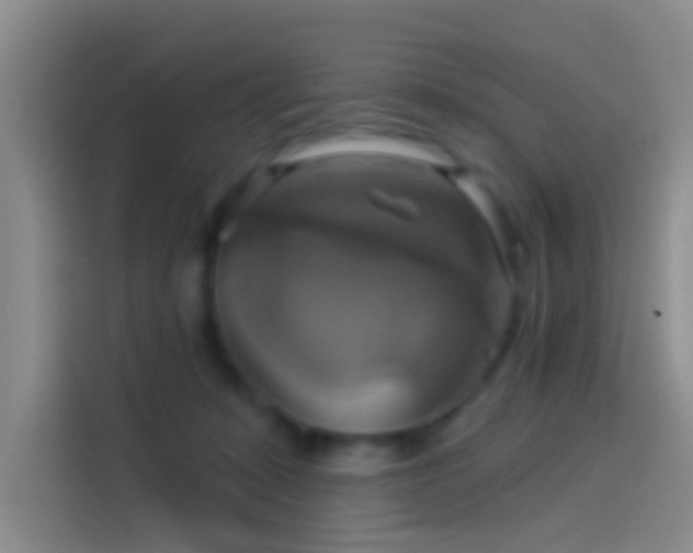 X0000114100319200910131327