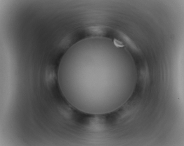 X0000114100320200910131327