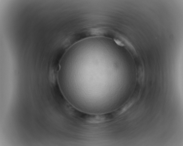 X0000114100329200910131327