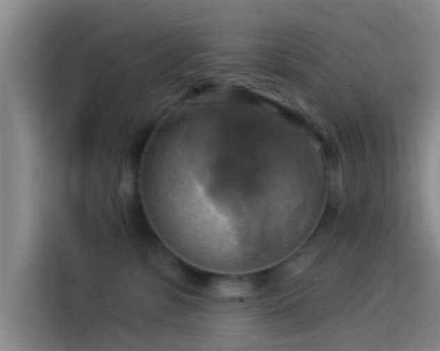 X0000114100331200910131327