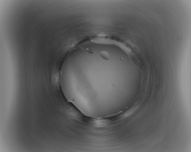 X0000114100336200910131327