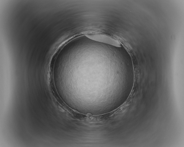 X0000114100338200910131327