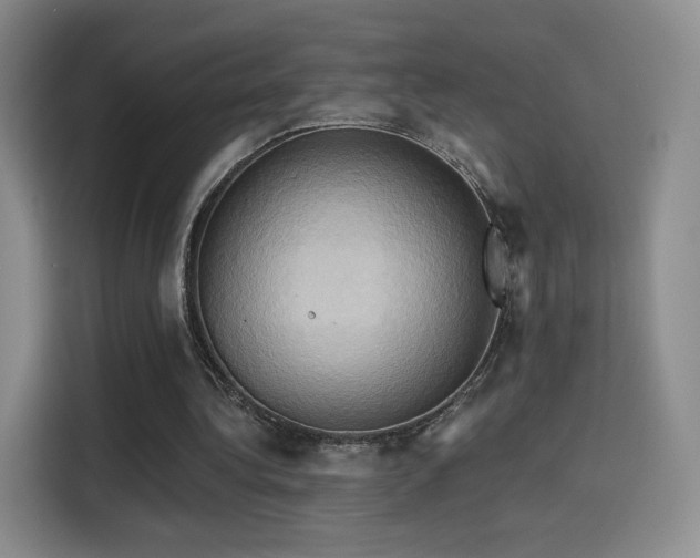 X0000114100340200910131327