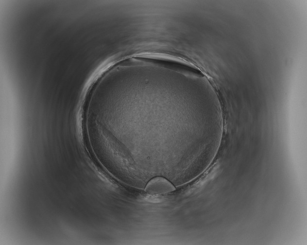 X0000114100341200910131327