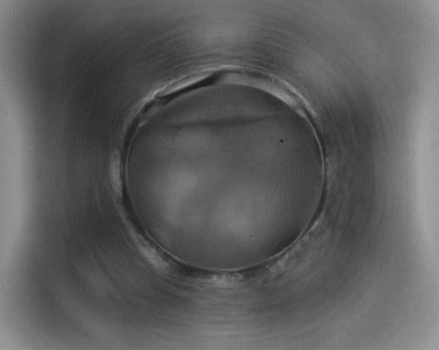 X0000114100345200910131327