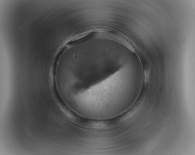 X0000114100349200910131327