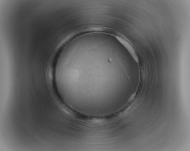 X0000114100350200910131327